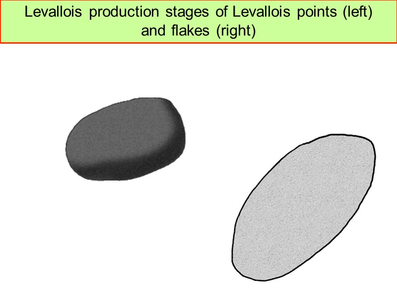 Levallois production stages of Levallois points (left)  and flakes (right)